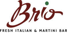 Brio-Logo-new
